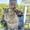 Henning Bøgsted - @henning.bgsted - TikTok