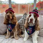 Henry & Ted - @henryandted_x - Instagram