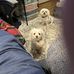 Ted Hickey - Facebook