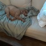 ted higginbotham - @higginbothamted - Instagram