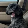 hiltonhead_ted - @hiltonhead_ted - TikTok