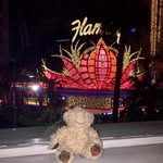 @ted_loves_to_holiday - Instagram