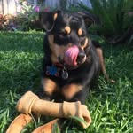 Teddy Holladay - @teddyholladay - Instagram