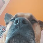 Ted & Holly - @tedandholly - Instagram