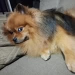 @ted_hollywood - Instagram