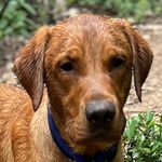 Ted Thoma - @ted.thoma - Instagram