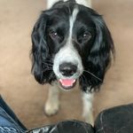 Ted - @tedhood2019 - Instagram