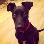 @ted_hooper - Instagram