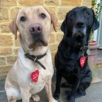 teddy_n_hooper - @teddy_n_hooper - Instagram