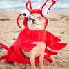 Ted Horton - @ted.horton - TikTok