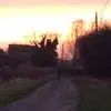 Ted Howe - @ted.howe - TikTok