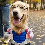 Ted Howell - @howell.ted - Instagram