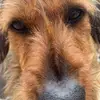 Ted Hughes - @ted.hughes4 - TikTok