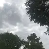 Ted.H - @ted_hulls - TikTok