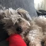 Ted A Hunt - @tedahunt - Instagram
