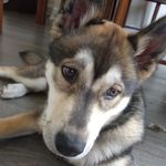 Ted Hunt - @_ted.hunt_ - Instagram