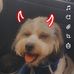 Ted Ingram - Facebook