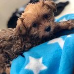 Ted ingram - @travelwithtedingram - Instagram