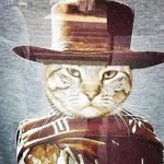 Ted Isbell - @isbell.ted - Instagram