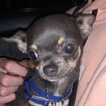Teddy - @teddy_iverson4 - Instagram