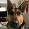user5870295754021 - @ted.jacobson - TikTok