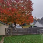 Ted Jarvis - @ted.jarvis.16568 - Instagram
