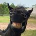 Ted Jay - Facebook