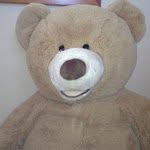 Ted Jensen - @wheres_ted - Instagram