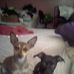 Ted Jewell - Facebook