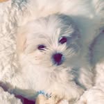 teddy Jewell 😘🥰❤️xx - @teddy_jewell_besties_xx - Instagram