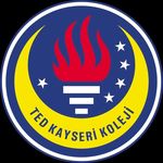 Ted Kayseri - @tedkayseri1966 - Instagram