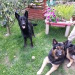 ted desel and keller - @ted_and_desel - Instagram