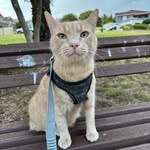 Ted - @tedkeller_ - Instagram