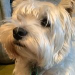 Ted Kennedy - @tedk_ennedy - Instagram