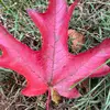 Ted Knight - @ted.knight7 - TikTok