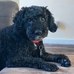 Ted Knight - @tedknight27 - Instagram