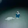 Ted - @ted..knight - TikTok