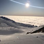 Ted - @tedknight_ - Instagram