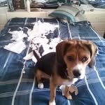 Ted Koehler - @tkoehler14107 - Instagram