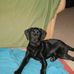 Ted Kramer - Facebook