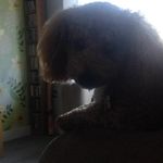 Ted Lang - @tedlang123 - Instagram