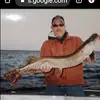 tedlarson1 - @ted.larson - TikTok