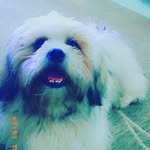 ted leal - @tedleal123 - Instagram