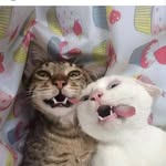 TED - @tedleal2019 - Instagram
