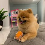 @tedd.yleal - Instagram