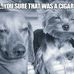 Ted Lehr - Facebook