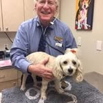 Ted Leif - @drtedleif - Instagram