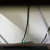 tedleif - @duki.kk9 - TikTok