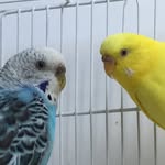 Lemon + Jet - @lemonyjetted - Instagram