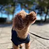 Lemon Ted - @lemon.ted - TikTok